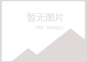 日照岚山初夏采矿有限公司